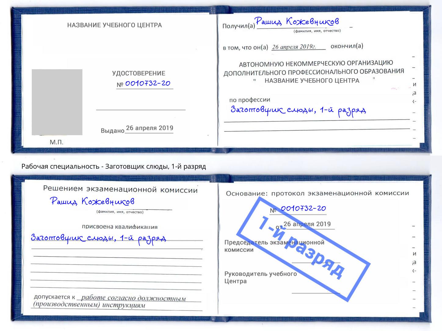 корочка 1-й разряд Заготовщик слюды Хасавюрт