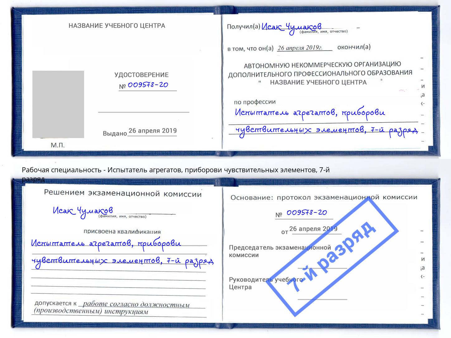 корочка 7-й разряд Испытатель агрегатов, приборови чувствительных элементов Хасавюрт