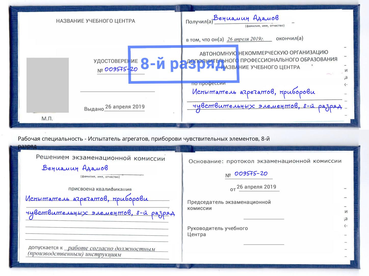 корочка 8-й разряд Испытатель агрегатов, приборови чувствительных элементов Хасавюрт
